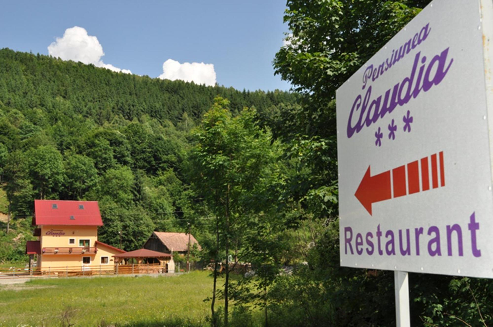 Pensiunea Claudia Scrind-Frăsinet Exteriör bild