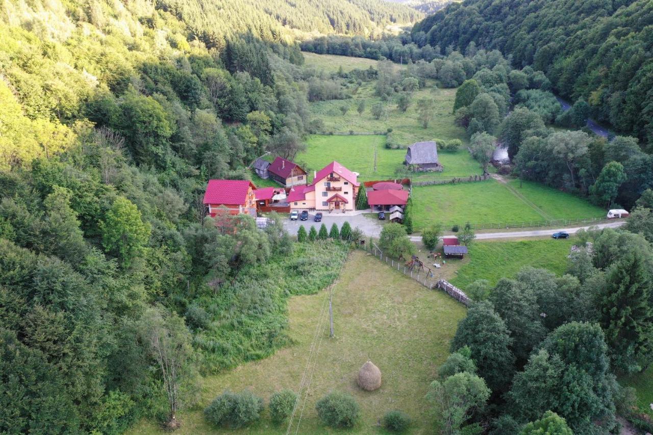 Pensiunea Claudia Scrind-Frăsinet Exteriör bild